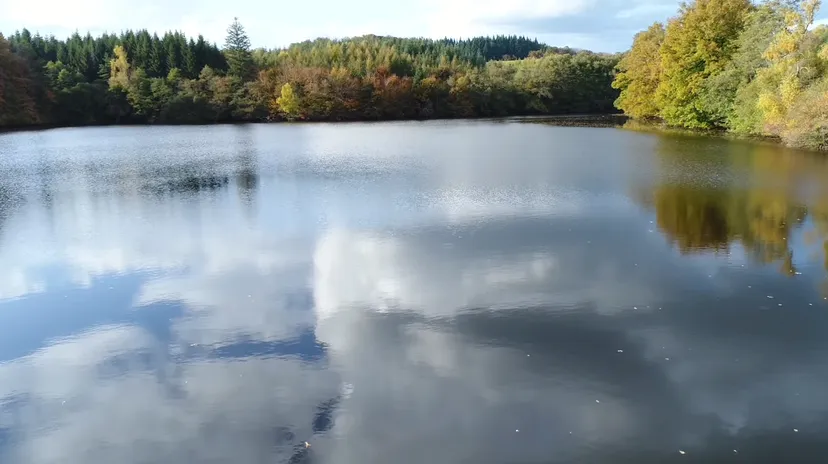 Rental pond with access to a water body of 19.77 ac and a 2.47 ac for 2 to 6 persons