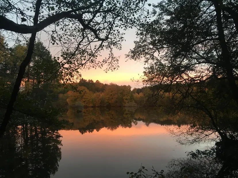 Rental pond with access to a water body of 19.77 ac and a 2.47 ac for 2 to 6 persons