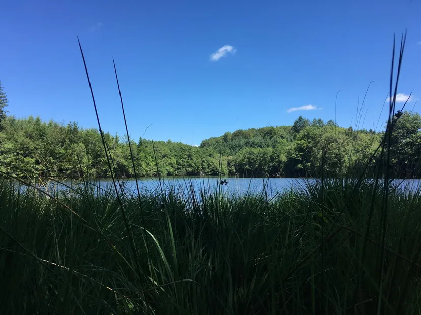 Rental pond with access to a water body of 19.77 ac and a 2.47 ac for 2 to 6 persons