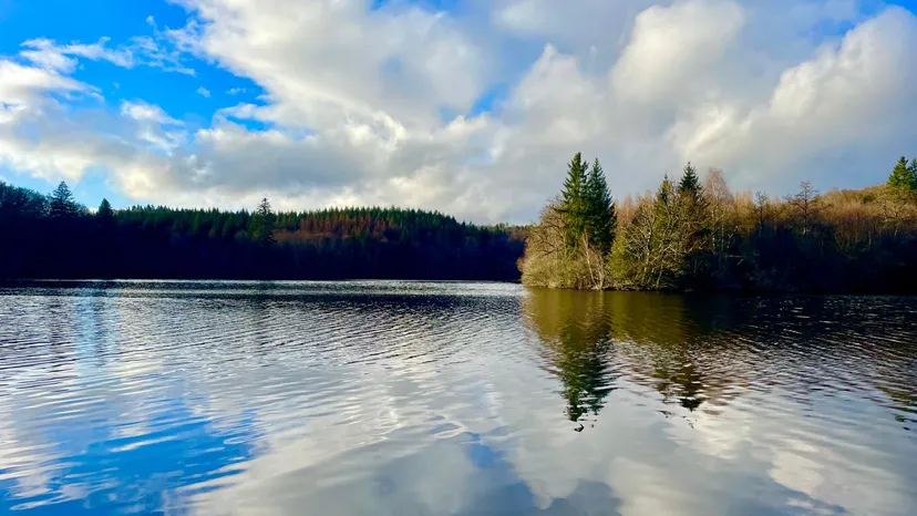 Rental pond with access to a water body of 19.77 ac and a 2.47 ac for 2 to 6 persons