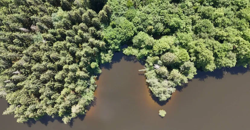 Rental pond with access to a water body of 19.77 ac and a 2.47 ac for 2 to 6 persons