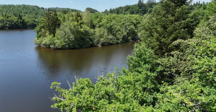 Rental pond with access to a water body of 19.77 ac and a 2.47 ac for 2 to 6 persons