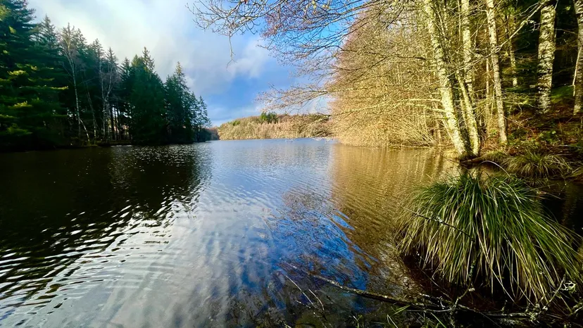 Rental pond with access to a water body of 19.77 ac and a 2.47 ac for 2 to 6 persons