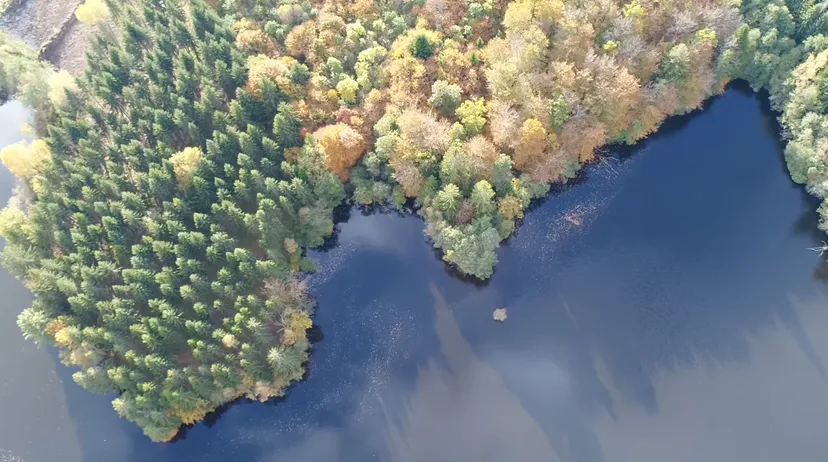 Rental pond with access to a water body of 19.77 ac and a 2.47 ac for 2 to 6 persons