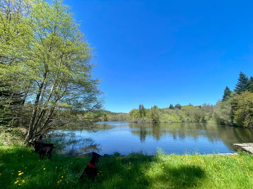 Rental pond with access to a water body of 19.77 ac and a 2.47 ac for 2 to 6 persons