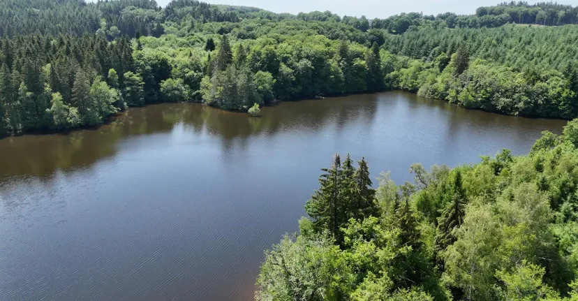 Rental pond with access to a water body of 19.77 ac and a 2.47 ac for 2 to 6 persons