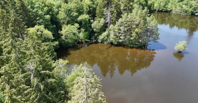 Rental pond with access to a water body of 19.77 ac and a 2.47 ac for 2 to 6 persons