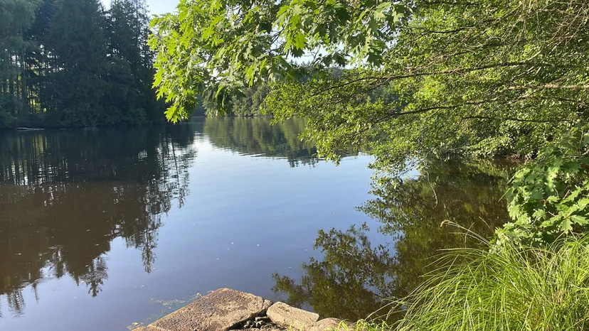 Rental pond with access to a water body of 19.77 ac and a 2.47 ac for 2 to 6 persons