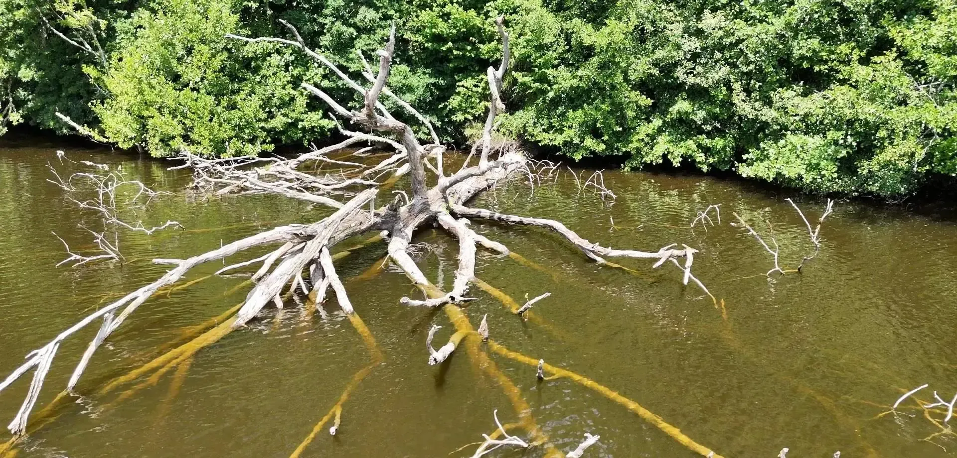 Fishing day on a 19.77 ac pond in Corrèze