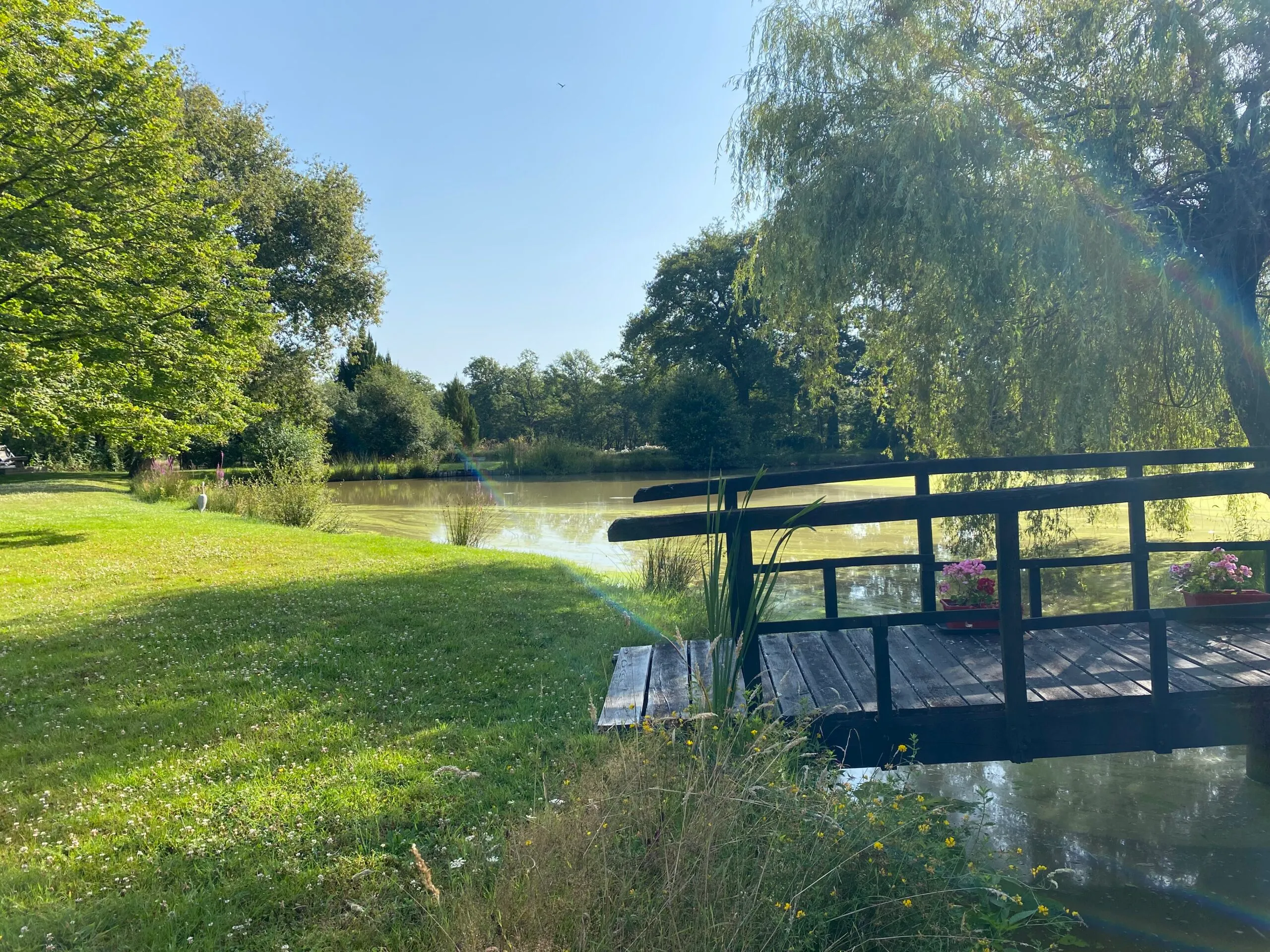 Gîte sologne avec étang privé et jardin