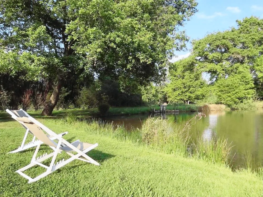 Gîte sologne avec étang privé et jardin