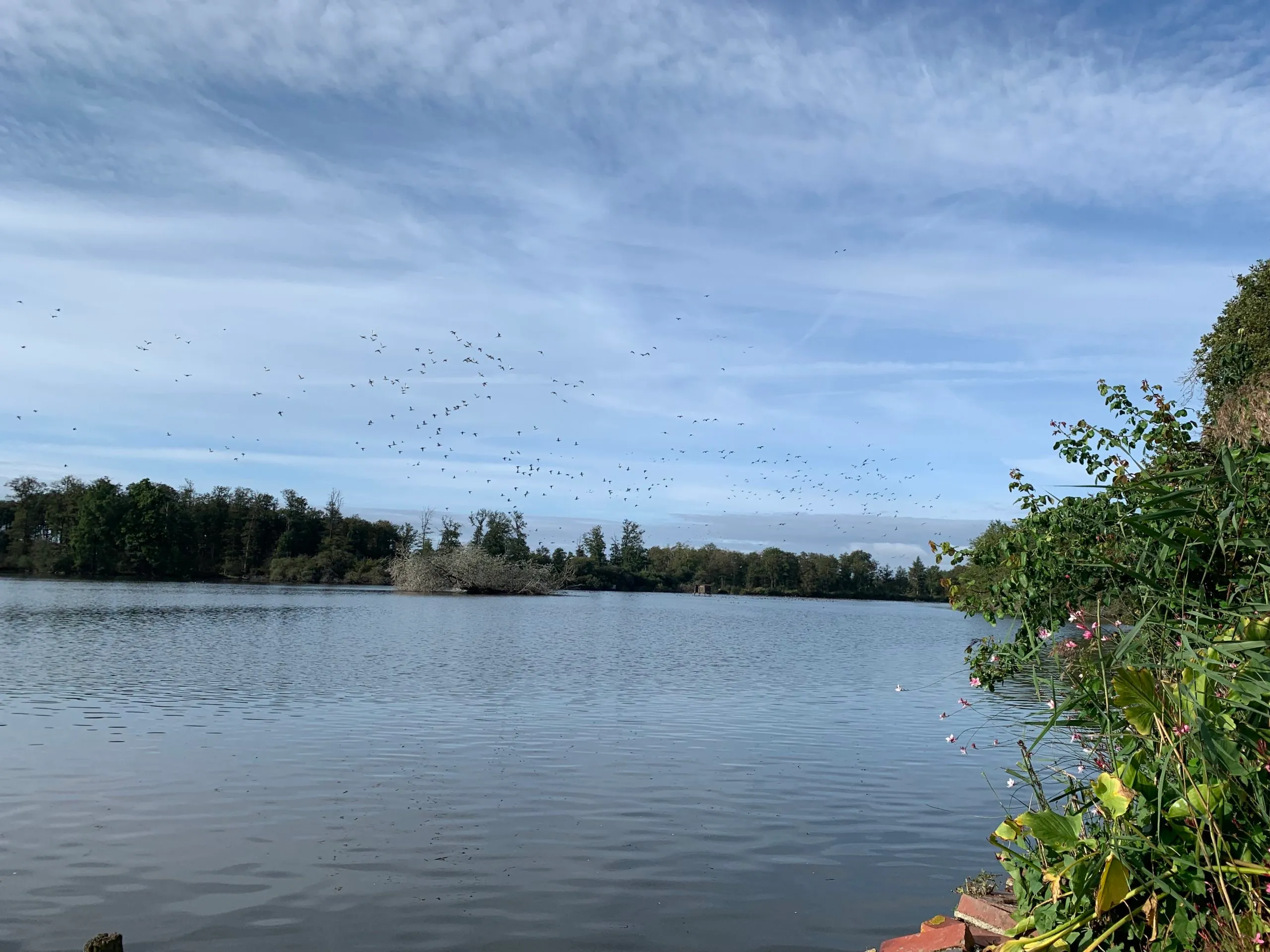 Chambre d'hôte 2 avec accès à un parc de 30ha et 6 étangs pour pêcher