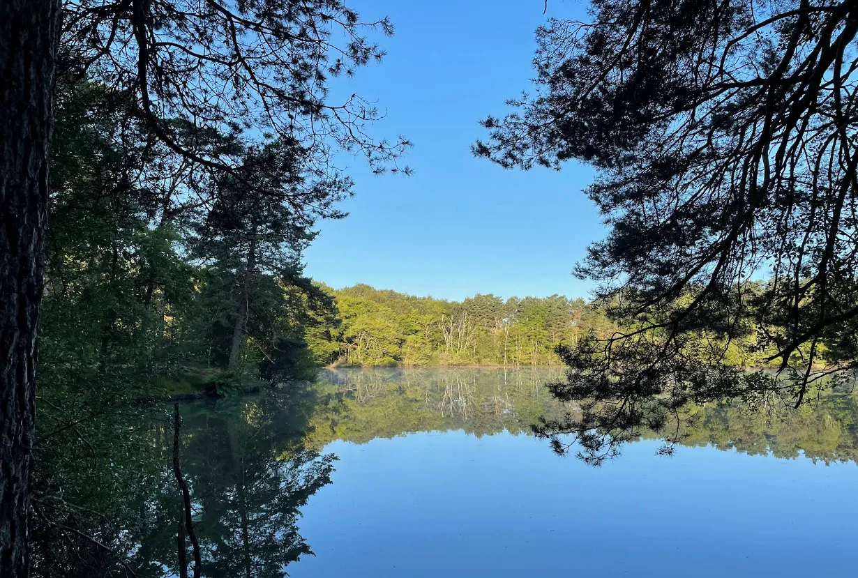 Grand étang de 12 ha en exclusivité – pêche sportive et séjour nature