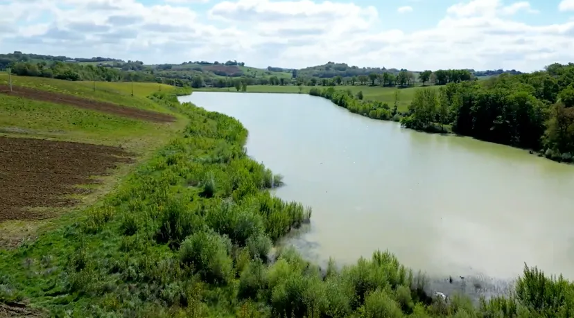 Room for 6 in a castle with private lake of 12.36 ac