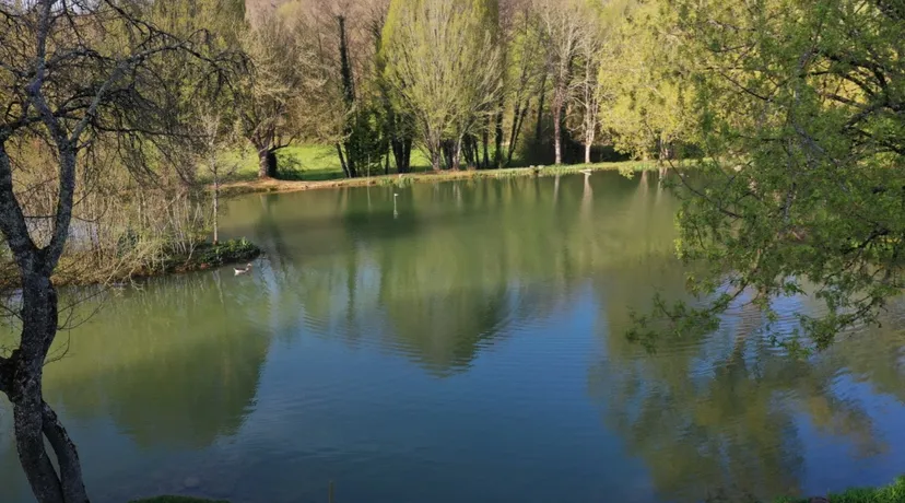 Gîte à proximité des grottes de Lascaux avec accès à deux étangs privés et une piscine - BMB