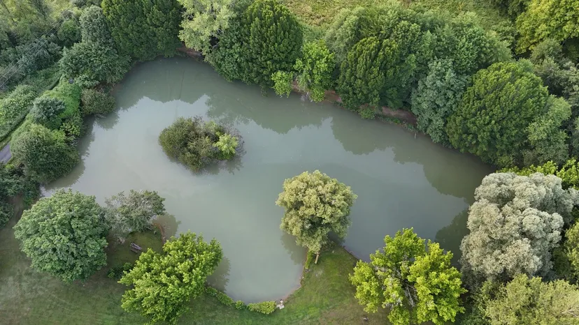 Gîte à proximité des grottes de Lascaux avec accès à deux étangs privés et une piscine - BMB