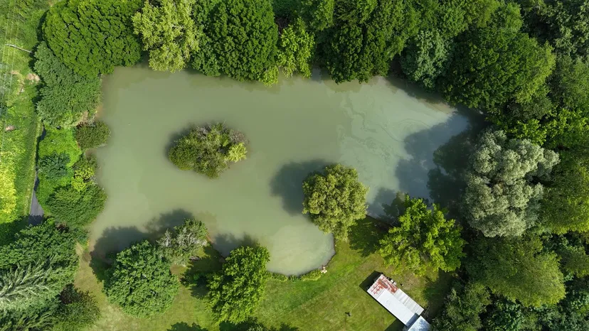 Gîte avec piscine et 2 étangs privés pour 4 personnes proche de Lascaux - TIL