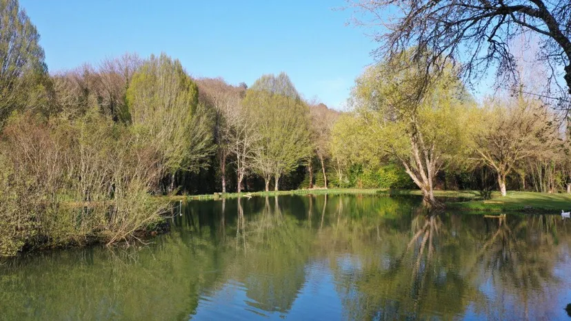 Gîte avec piscine et 2 étangs privés pour 4 personnes proche de Lascaux - TIL