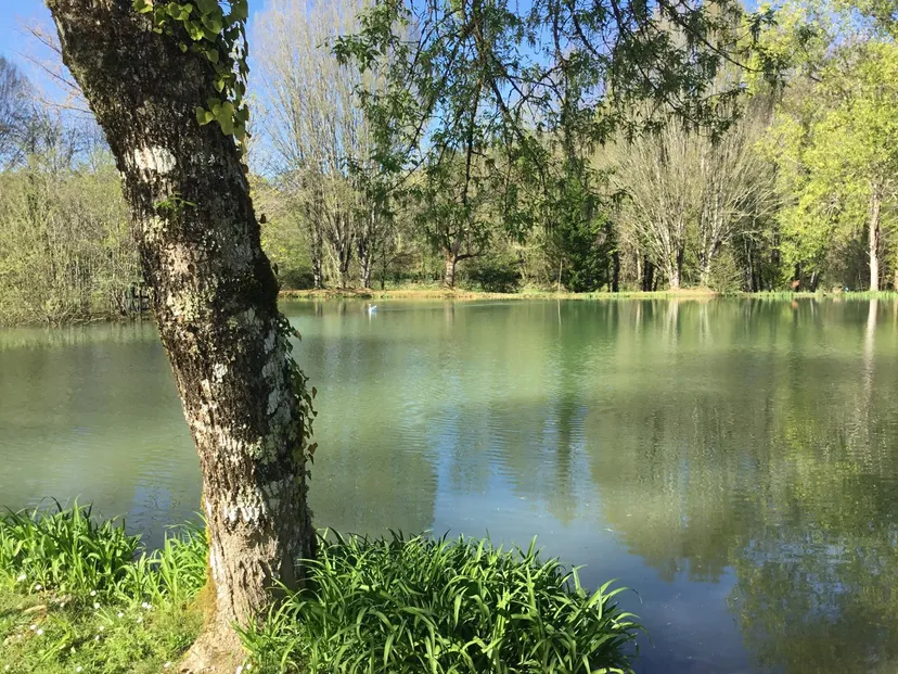 Gîte avec accès 2 beaux étangs et une piscine en Aquitaine - ACA
