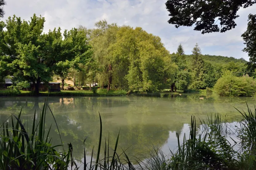 Gîte avec accès 2 beaux étangs et une piscine en Aquitaine - ACA