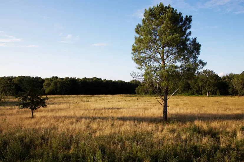 Séjour en Indre-et-Loire, 2-4 personnes, au bord d’un étang privé sauvage de 15ha