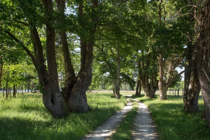 Grand gîte en Touraine, 10 personnes, avec étang sauvage de 15ha dans un domaine privé