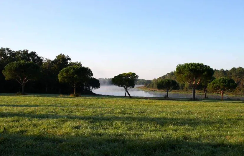 Maison contemporaine pour 8 personnes de charme avec accès à un étang de pêche privé de 15ha