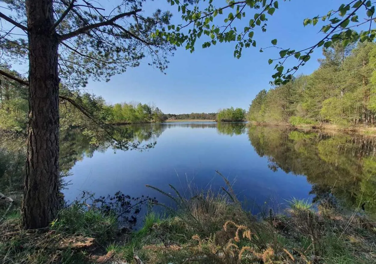En Touraine – Journée de pêche d’exception aux carnassiers sur étang privé de 15 ha