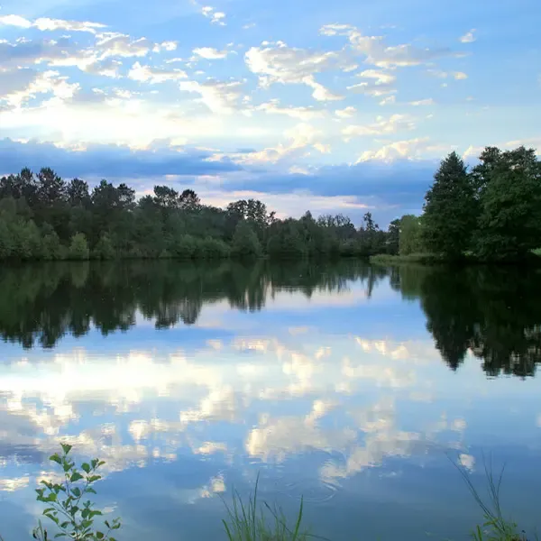 En Touraine – Journée de pêche d’exception aux carnassiers sur étang privé de 15 ha