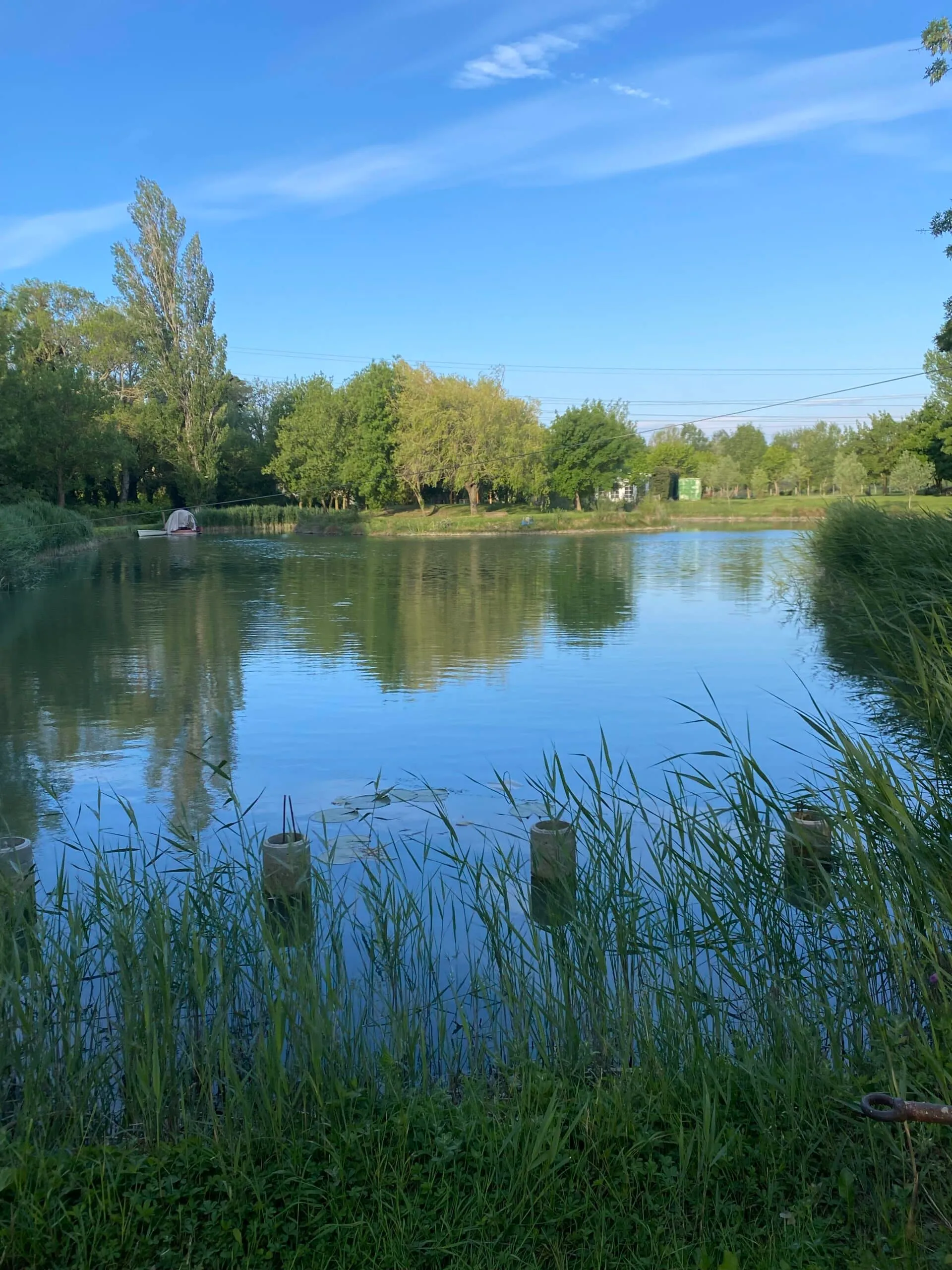 Quiet chalet with lake view, fishing and animals