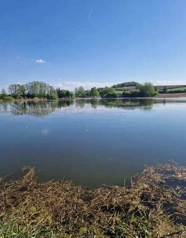 12.36 ac pond near Nancy – Full Privatization