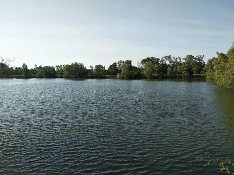 Grand étang 4 ha privé pour une pêche 24h sur place en Ardennes