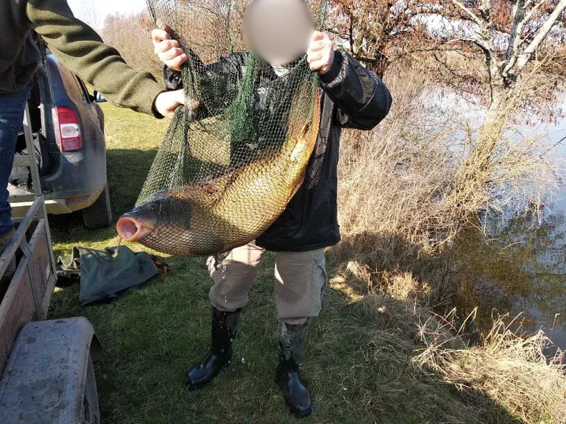 Grand étang 4 ha privé pour une pêche 24h sur place en Ardennes