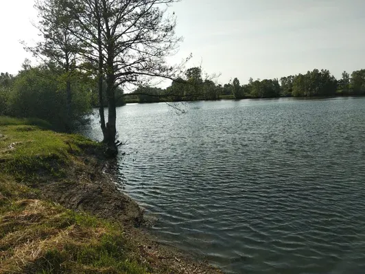 Grand étang 4 ha privé pour une pêche 24h sur place en Ardennes