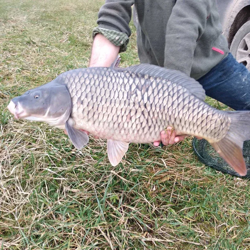 Grand étang 4 ha privé pour une pêche 24h sur place en Ardennes
