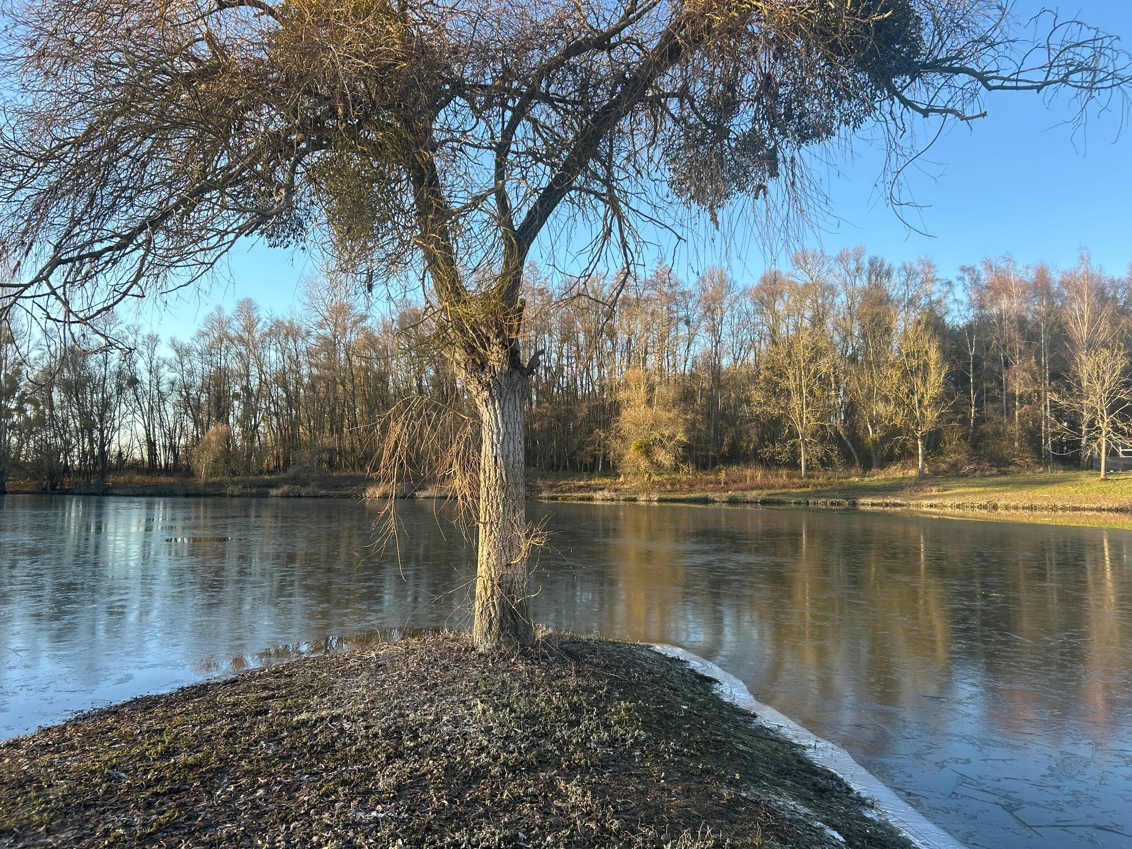 Etang de 2ha pour une pêche sportive dans Marne
