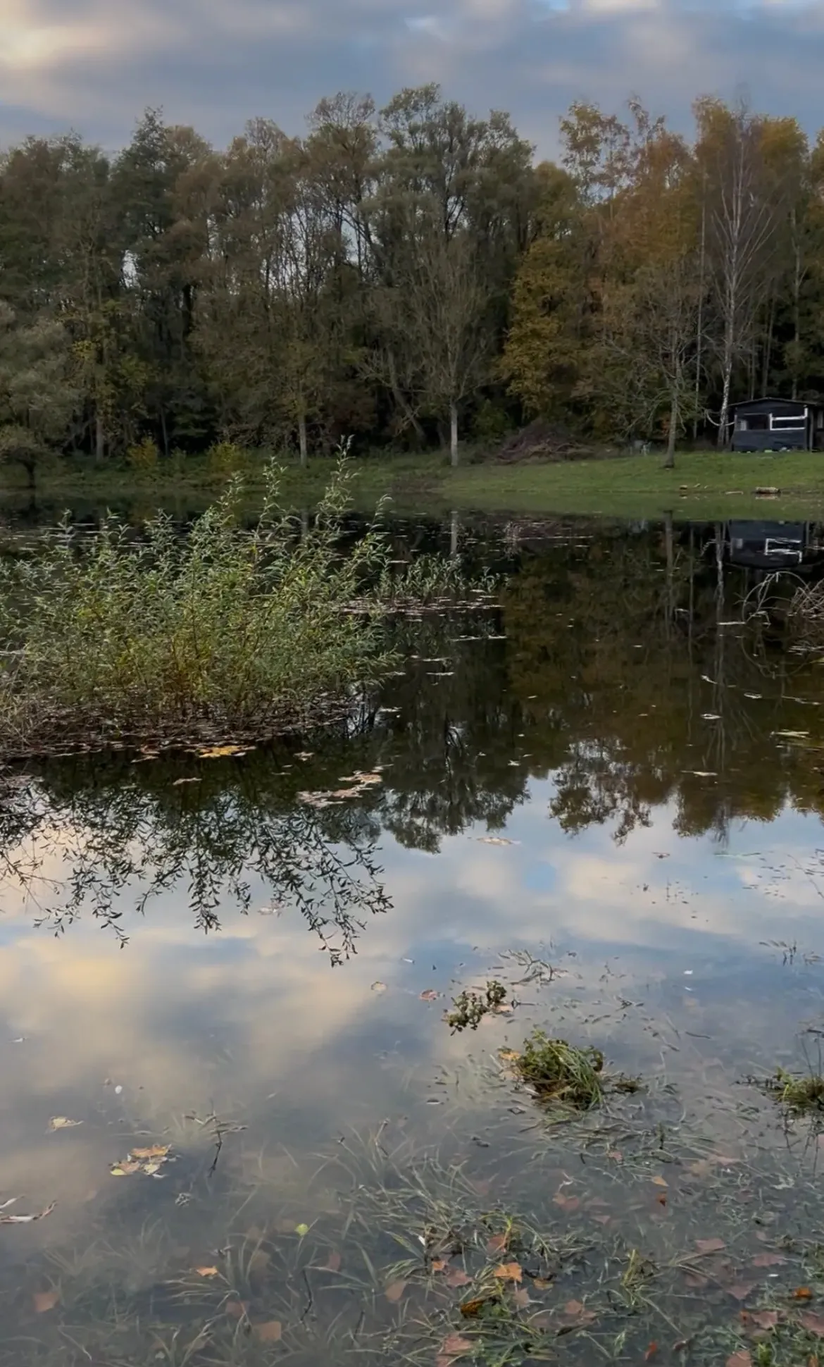 Etang de 2ha pour une pêche sportive dans Marne