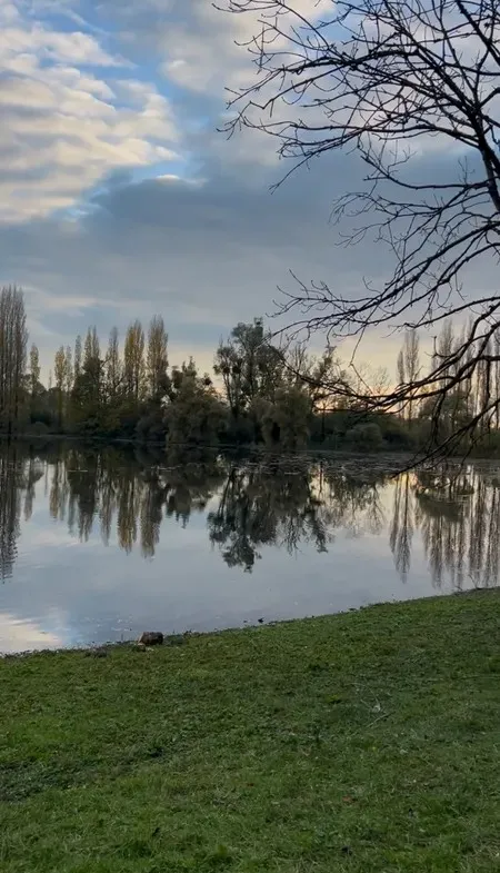 Etang de 2ha pour une pêche sportive dans Marne