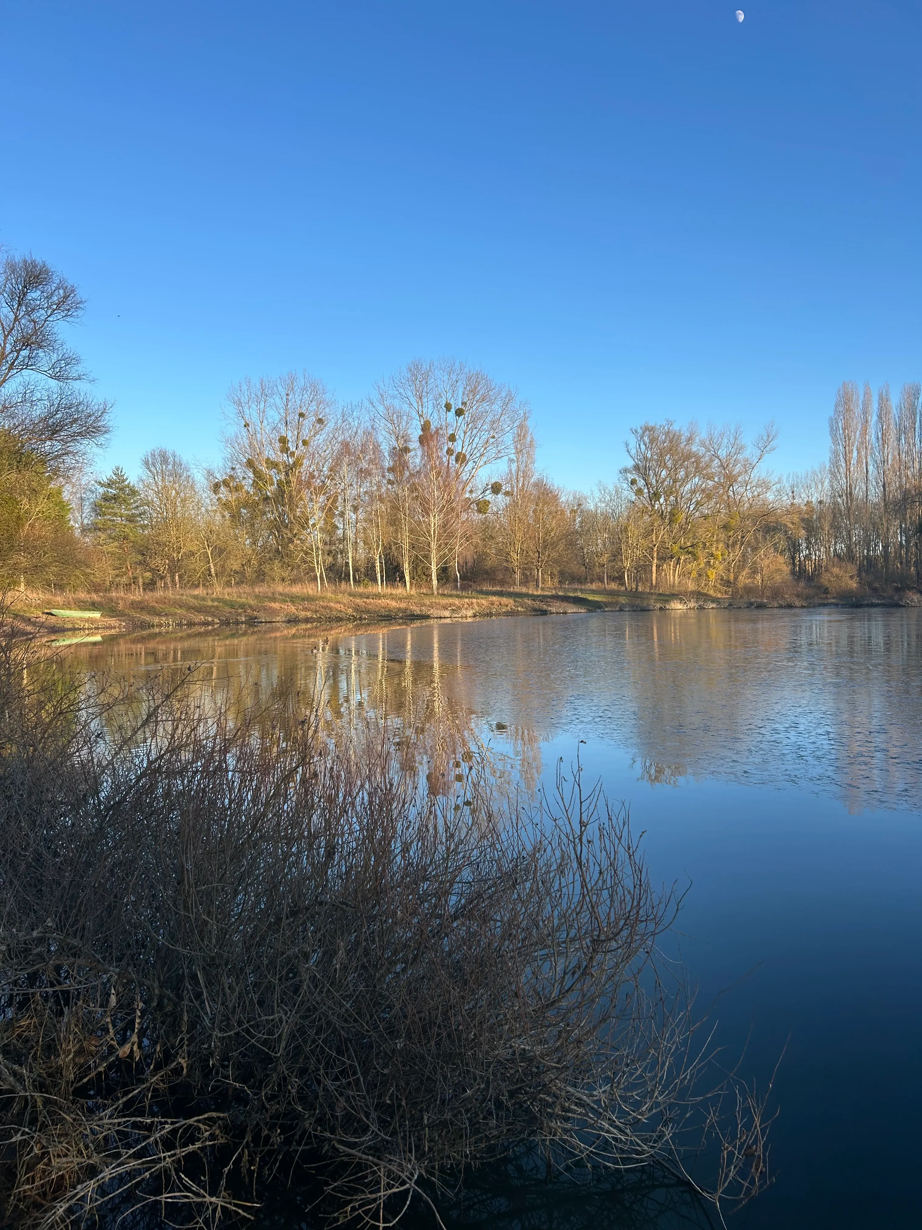 Etang de 2ha pour une pêche sportive dans Marne