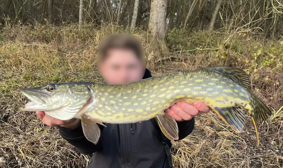 Etang de 2ha pour une pêche sportive dans Marne