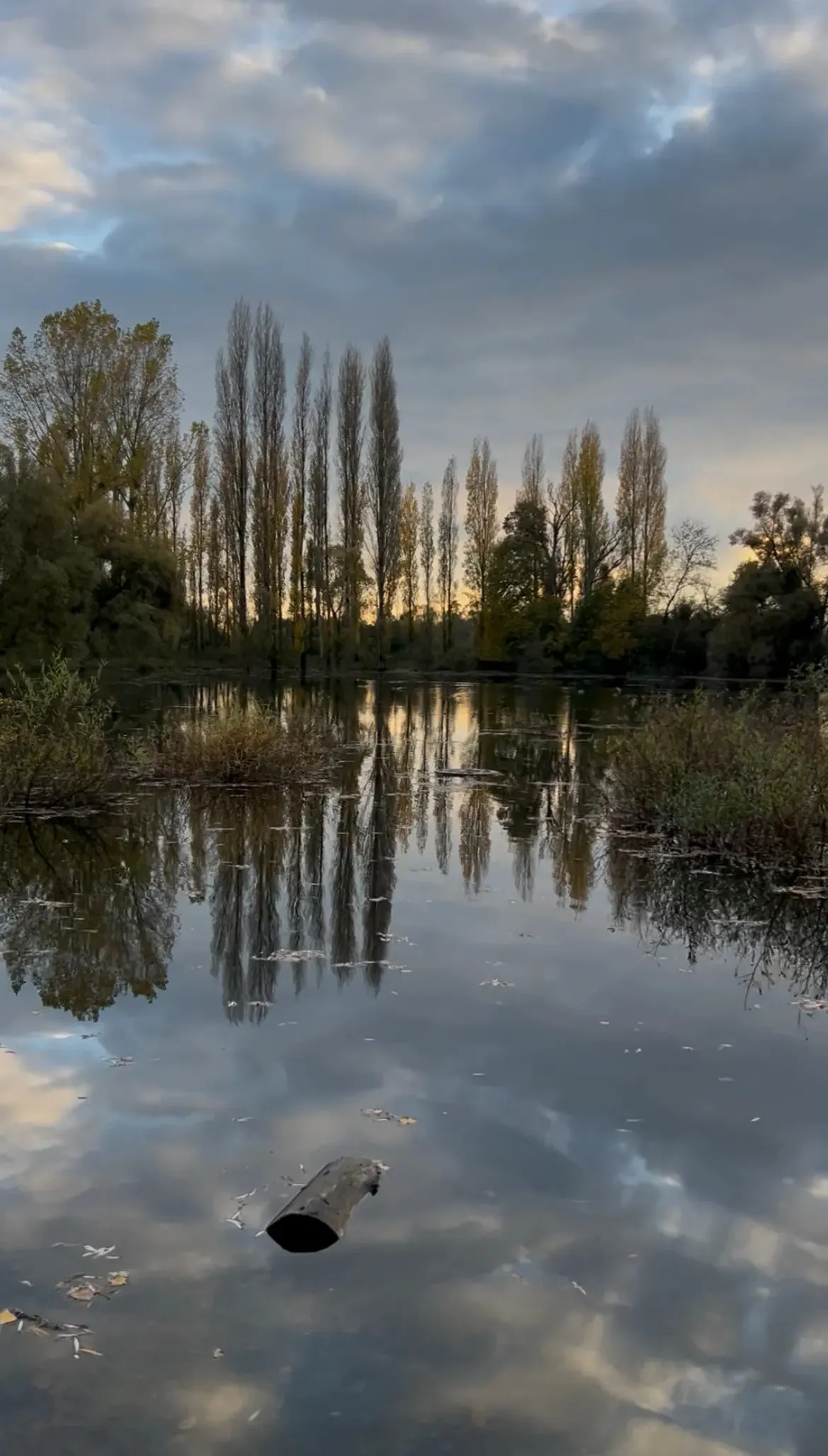 Etang de 2ha pour une pêche sportive dans Marne