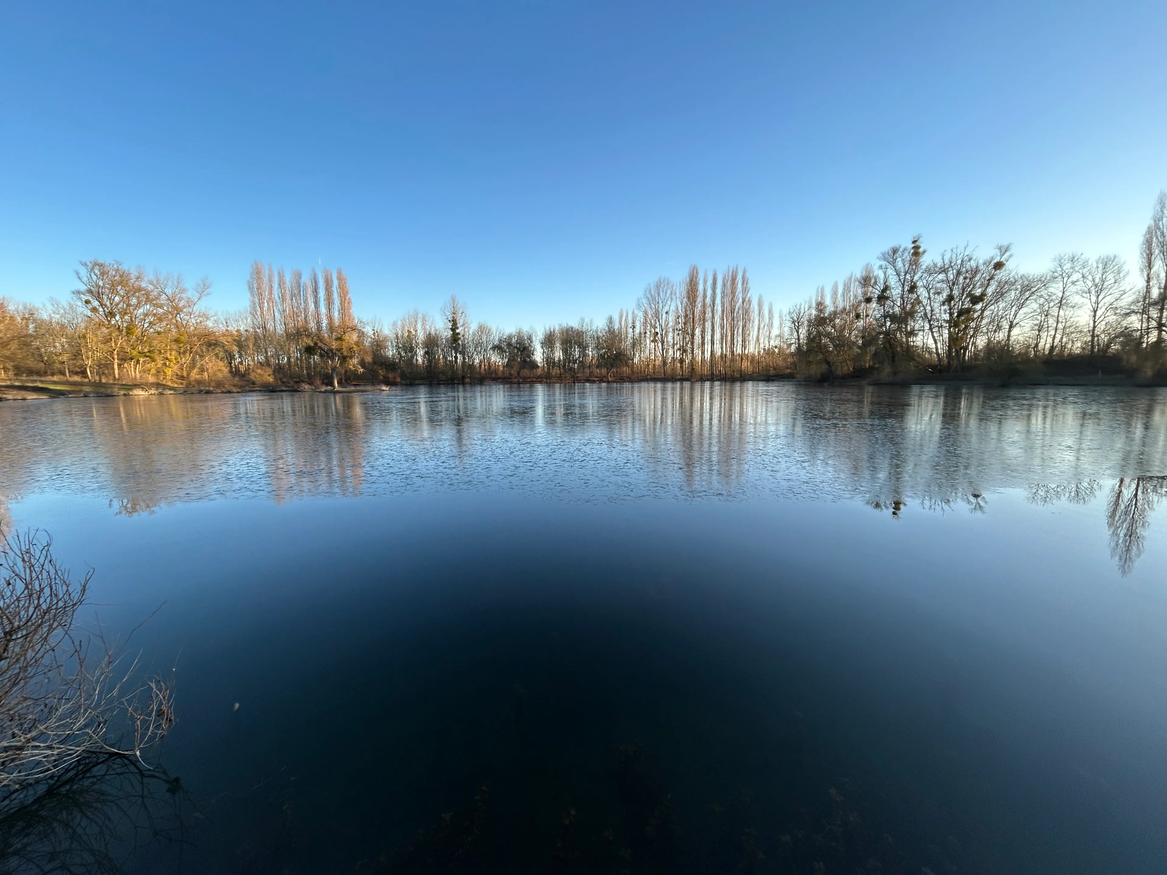 Etang de 2ha pour une pêche sportive dans Marne