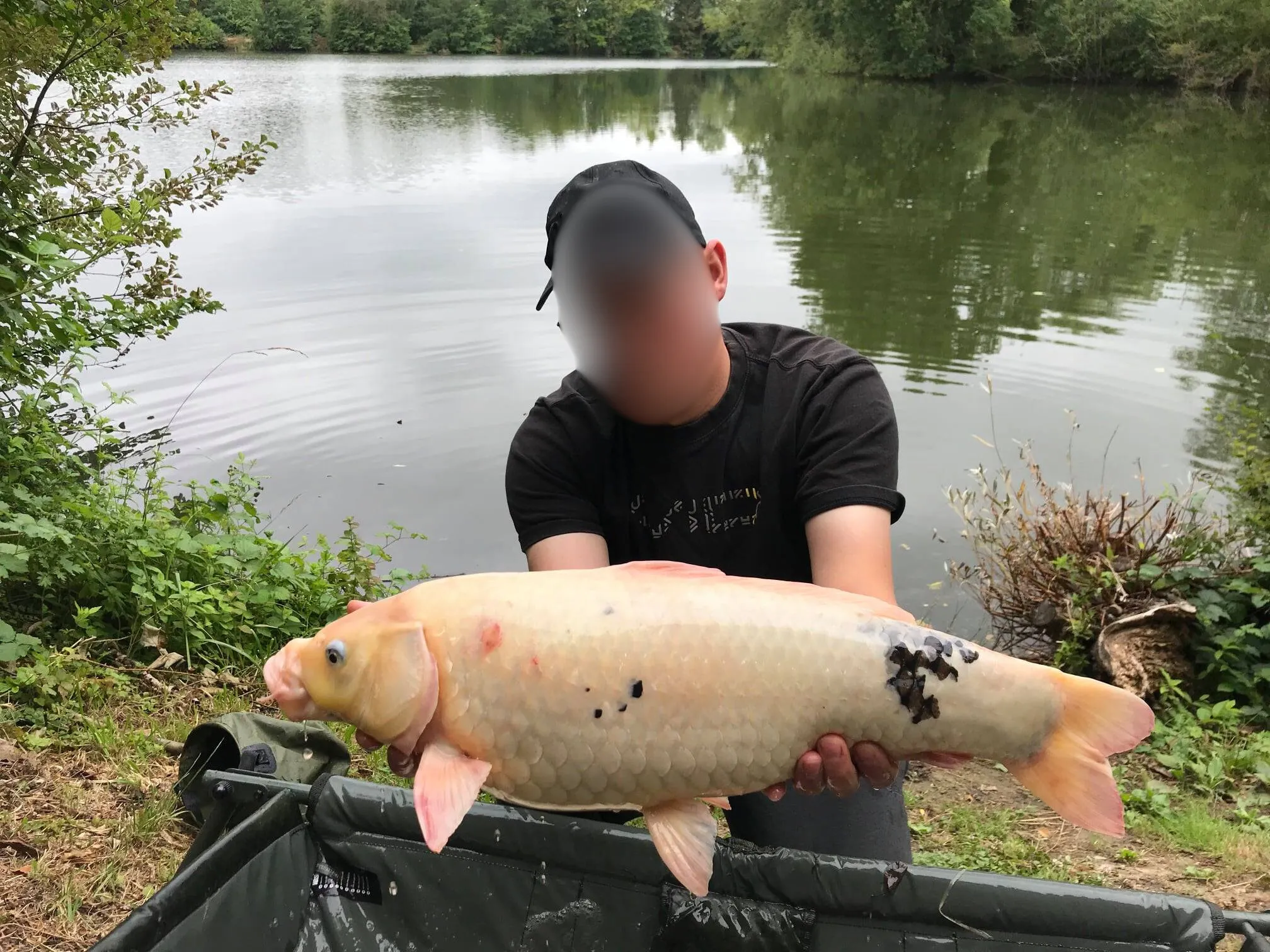Etang de pêche à la carpe en Moselle