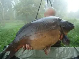 Etang de pêche à la carpe en Moselle