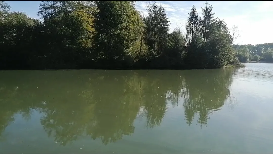 Etang de pêche à la carpe en Moselle