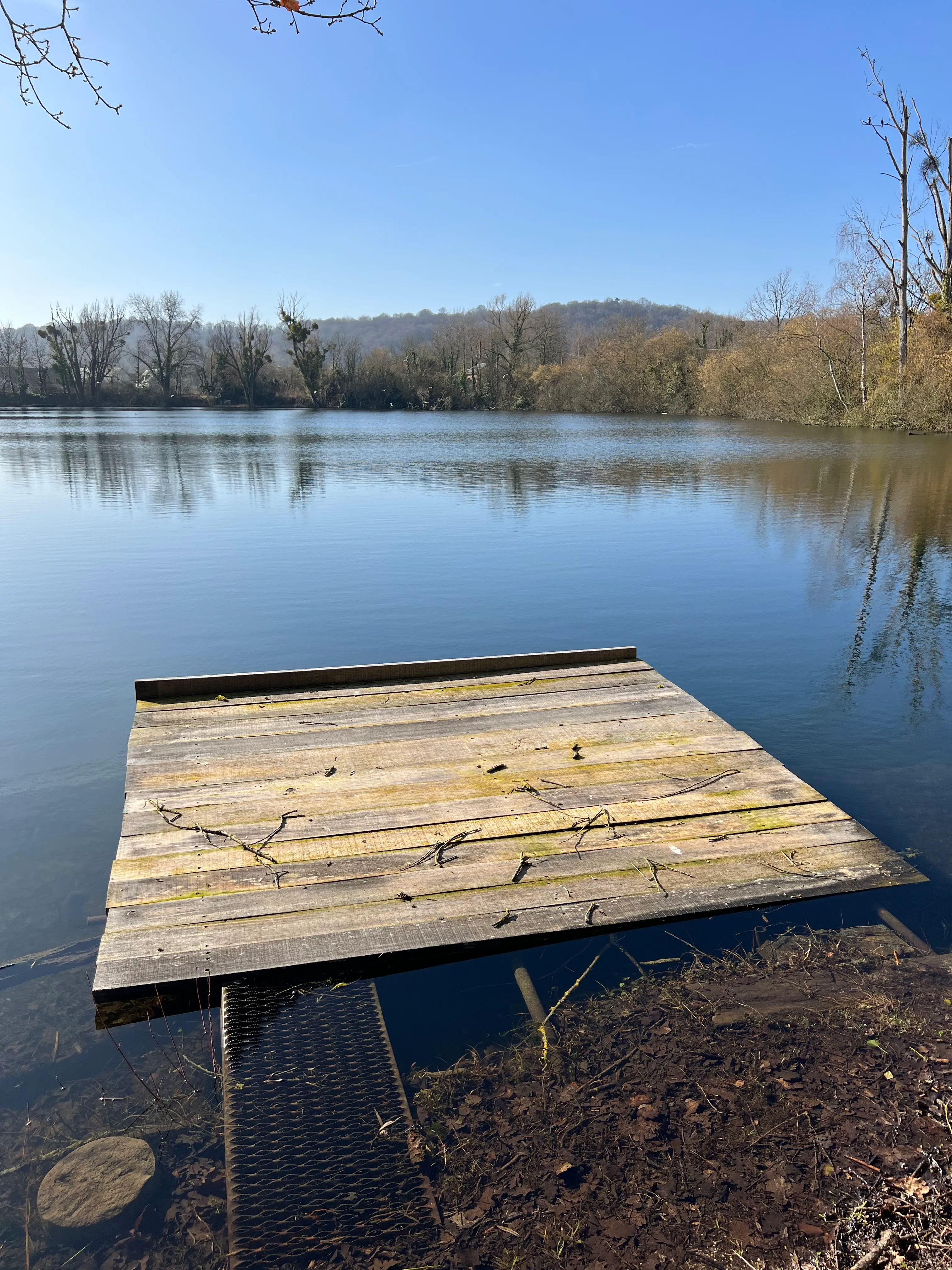Pond of 4.45 ac near Compiègne — wild fishing in full privatisation