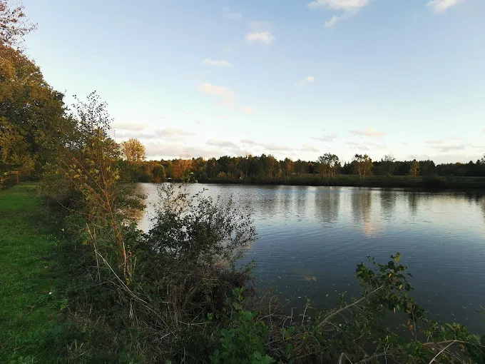 Wooden chalet by three ponds in Sologne - APMD