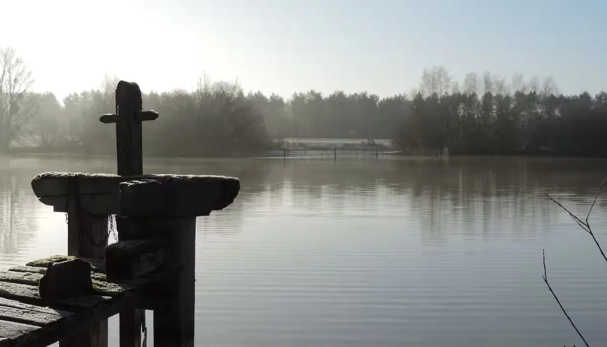 Cottage in Sologne with access to private ponds