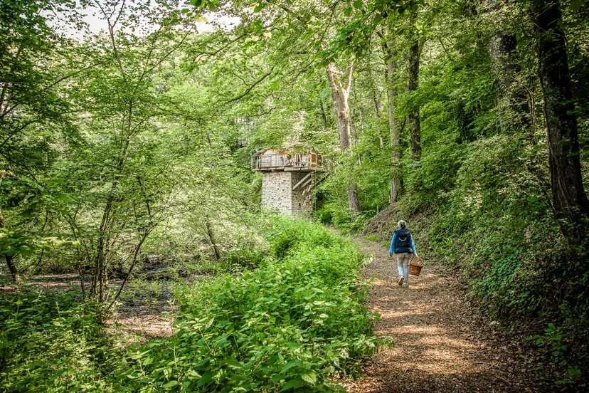 Cabane perchée au bord de l’eau en Mayenne – Calme et nature pour 2 personnes