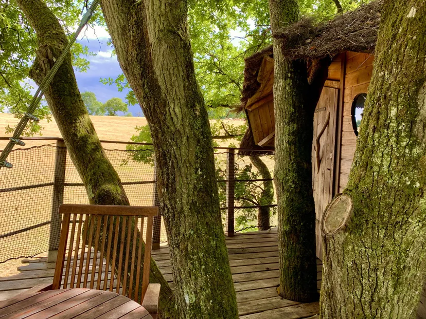 Cabane perchée pour 3 personnes au bord d'un étang de 2ha pour pêche et détente